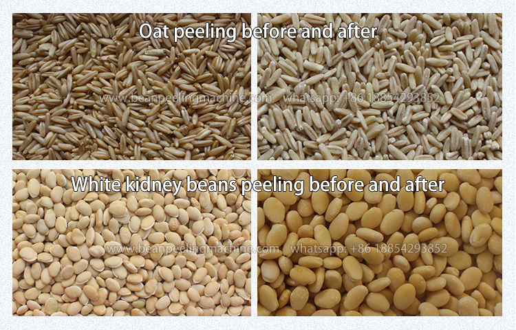 6FT-B11 150kg/hour Oat peeler oat peeling machine